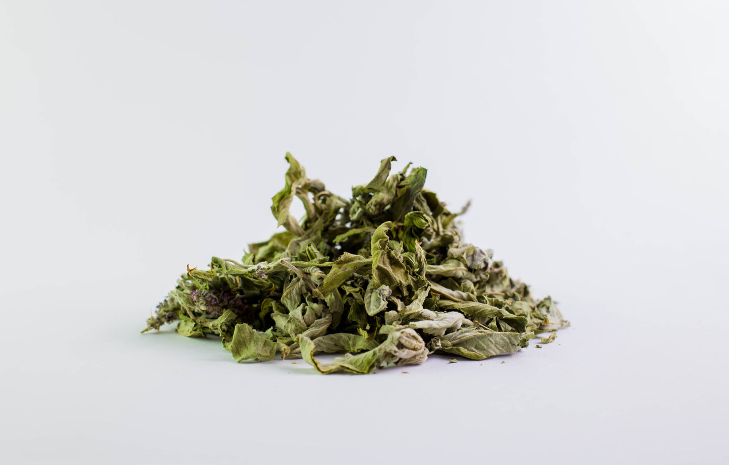 Dried organic mint leaves for Darman herbal tea on white background