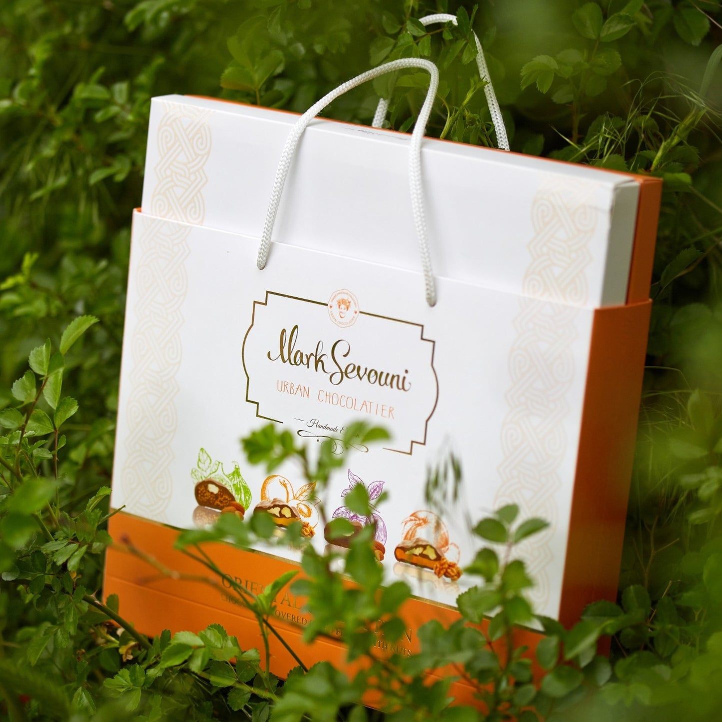 Mark Sevouni Oriental Collection chocolate gift bag nestled in greenery – elegant design with illustrated fruit and nut confections.