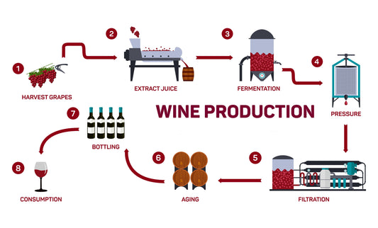 Infographic showing the 8 steps of wine production: 1. Harvest grapes, 2. Extract juice, 3. Fermentation, 4. Pressure, 5. Filtration, 6. Aging, 7. Bottling, and 8. Consumption. 